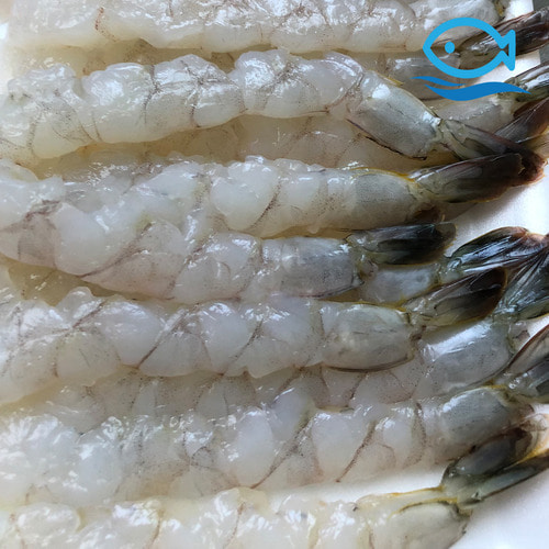 노바시새우 특대 20미 일식 튀김용 새우튀김 손질새우